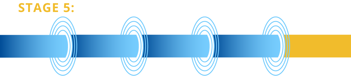 stage5: submission and pre-approval activities