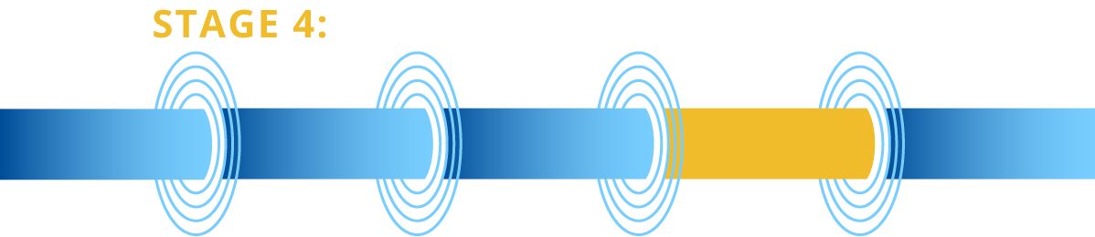 stage4: regulatory pathways and QMS