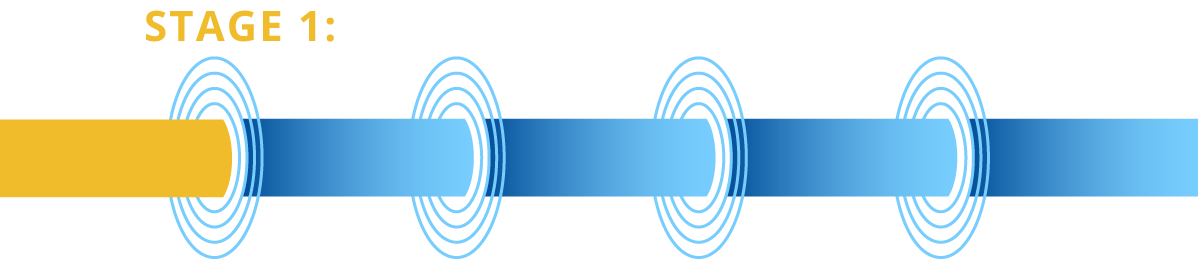 stage 1: discovery and target validation