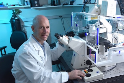 Dr. Neal Alto at the microscope in his lab