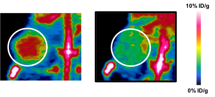 Left, illuminated tumor by iPET expressing immunotherapy target, compared to control tumor (right).