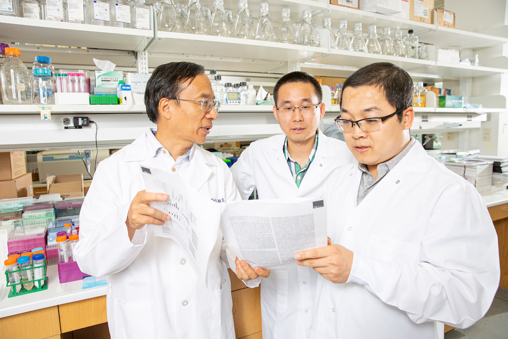 Drs. Yang-Xin Fu, Chuanhui Han, and Zhida Liu in the lab