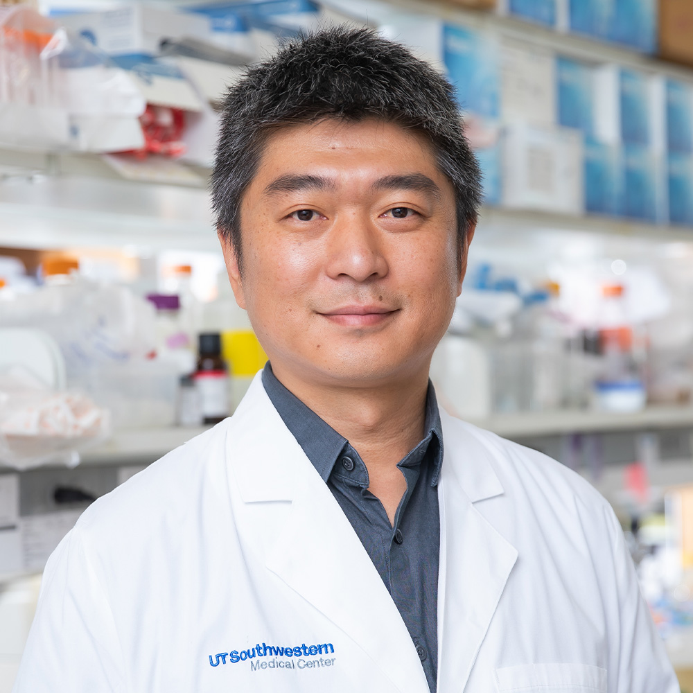 Jun Wu, Ph.D.