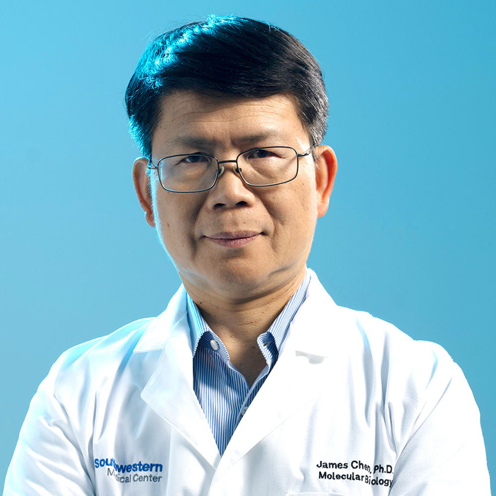 Portrait of Dr. Chen