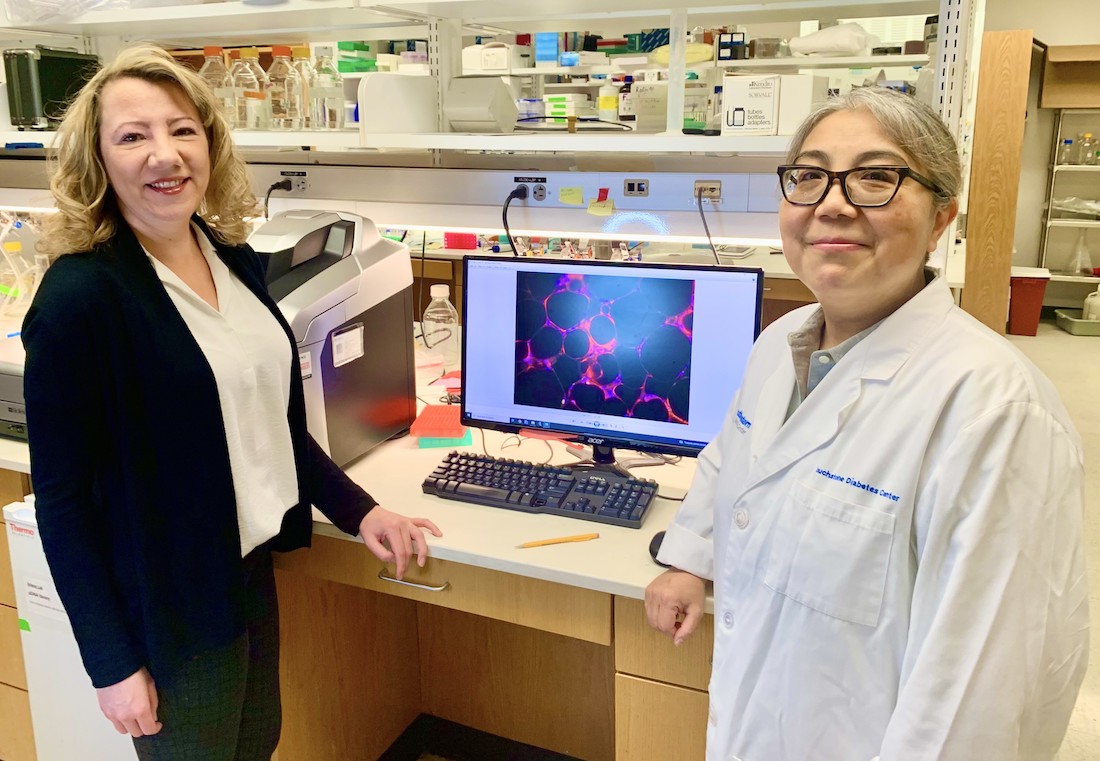 Christine M. Kusminski, Ph.D., Associate Professor of Internal Medicine (left), and Xinxin Yu, M.D.