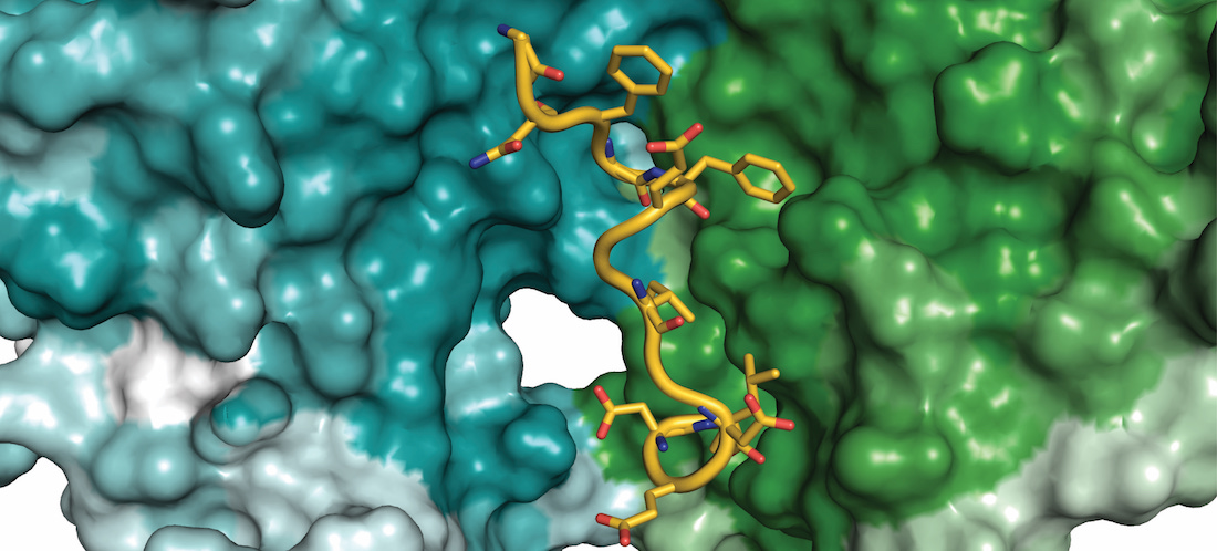 A molecular structure 3D image